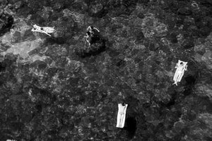 Sweet Surrender - Polignano a Mare