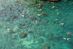 Swimmers Polignano A Mare