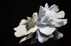Beauty - A thing or person that delights the senses