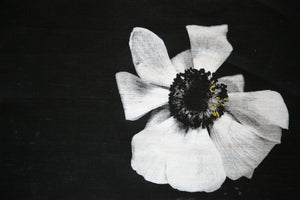 Dignity - Inherent nobility and worth